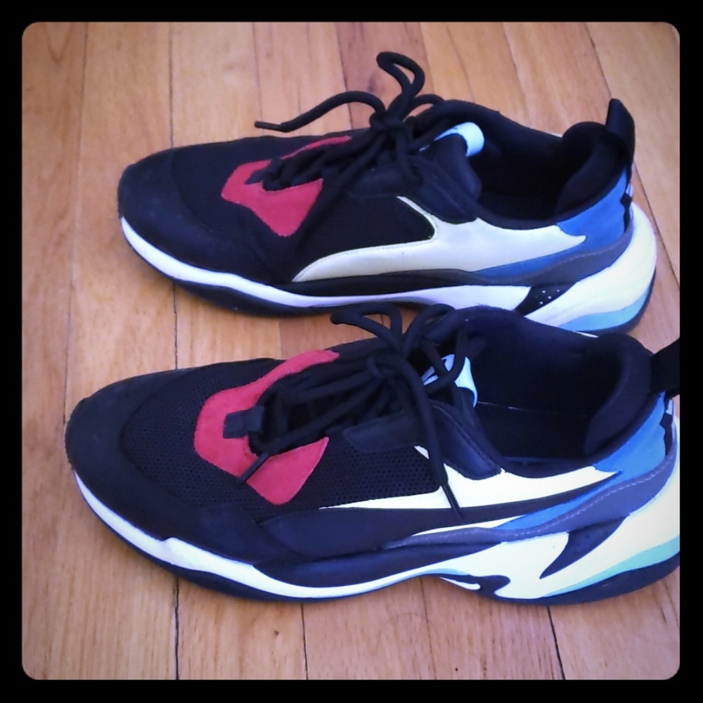 Puma spectra